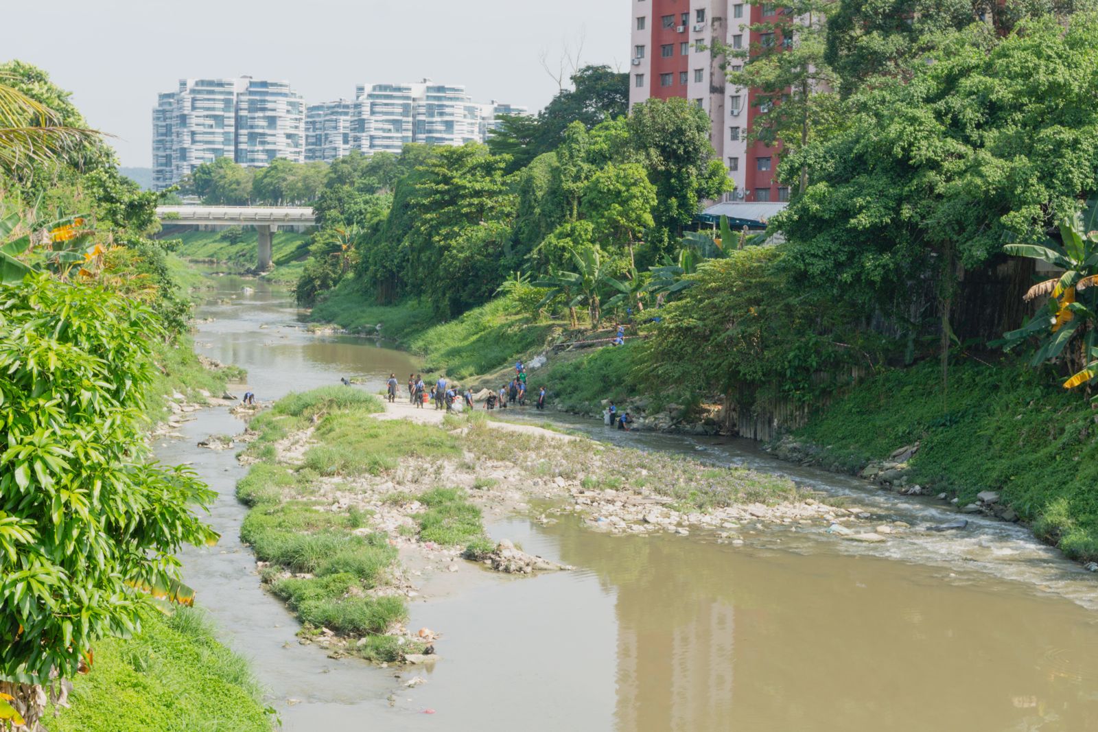 Load video: The River Fencing Project