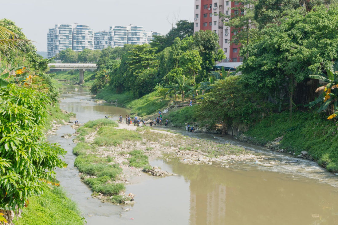 The River Fencing Project